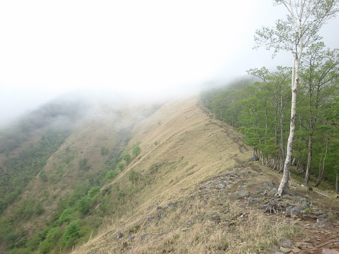 袈裟丸山