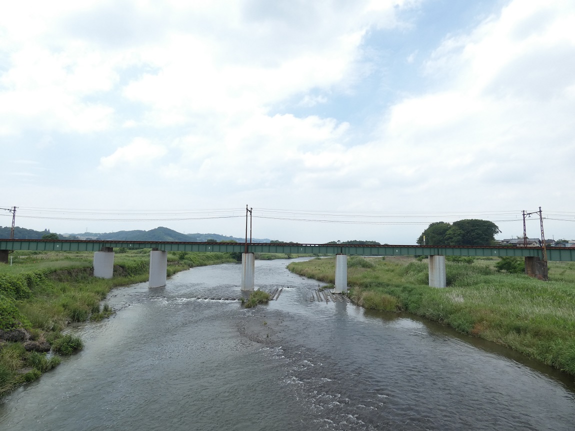 佐野のわたし