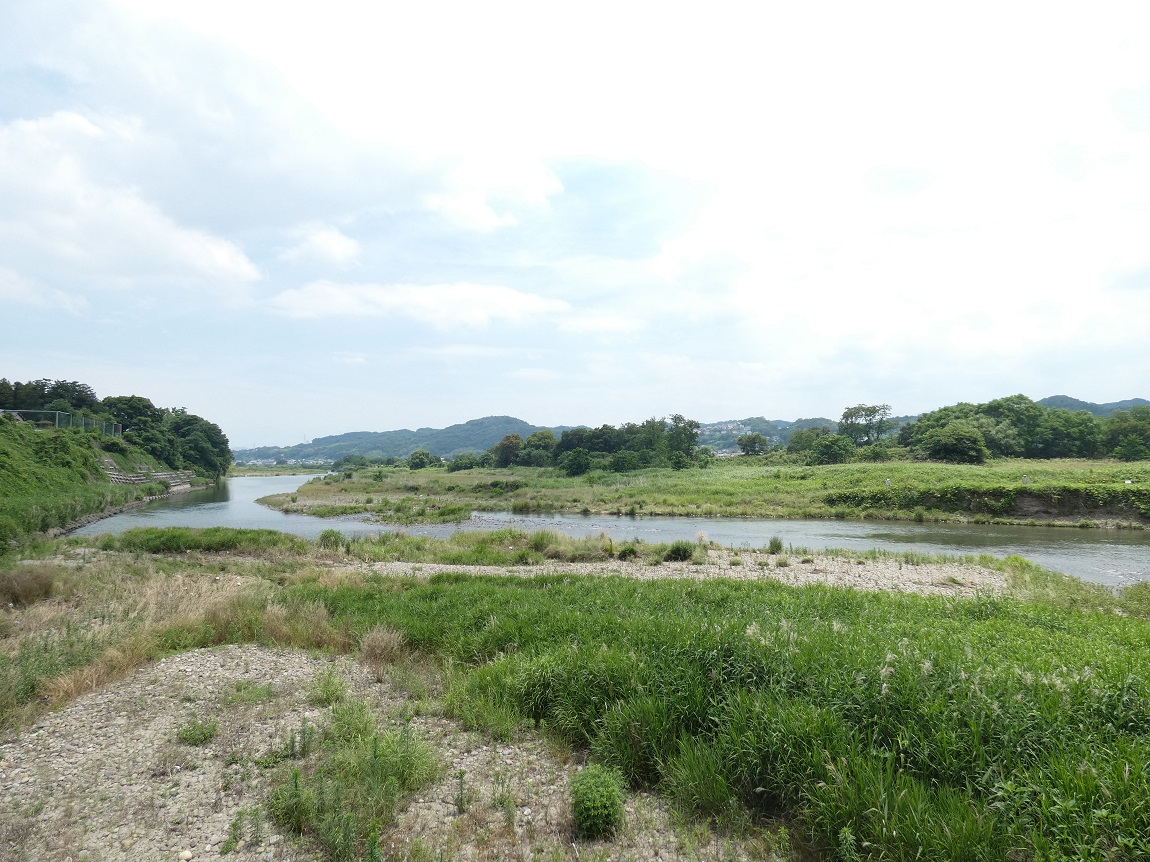 佐野のわたし