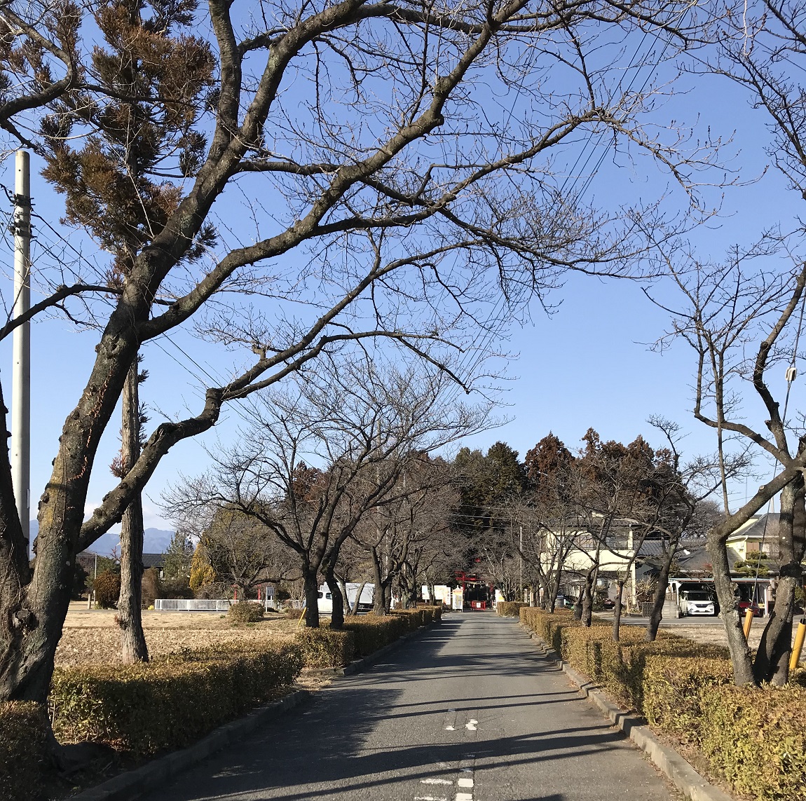 烏子稲荷神社